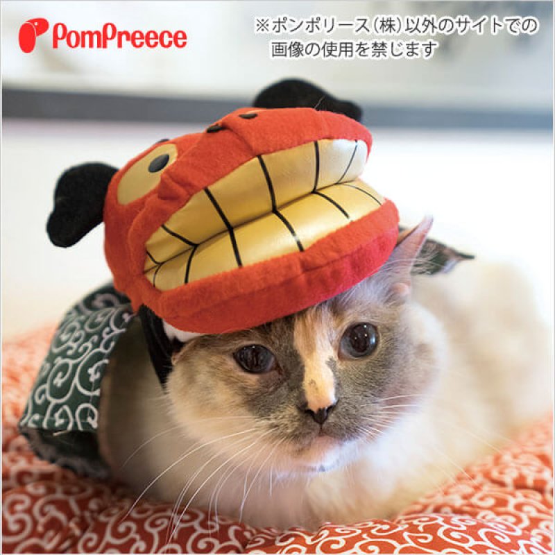 画像7: 【ポイント10倍で会員様はお得】 獅子舞帽子 【S・M・LL】※在庫限り (7)