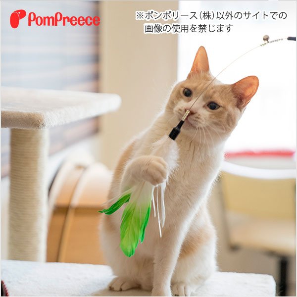 画像3: 【在庫処分セール品】 ロングじゃらし パッション【オレンジのみ】※返品交換不可 (3)