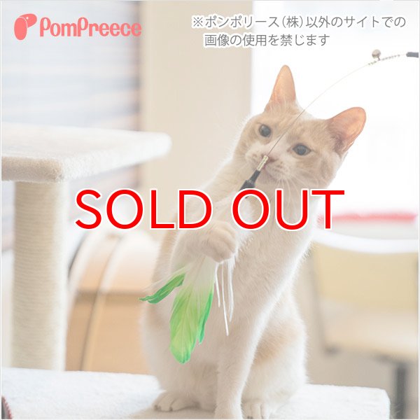 画像3: 【在庫処分セール品】 ロングじゃらし パッション【オレンジのみ】※返品交換不可 (3)