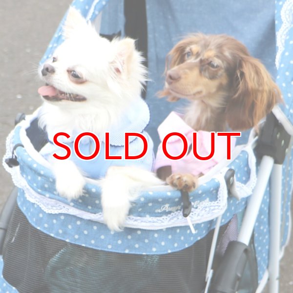 画像7: 【SALEでお得※在庫限りお早めに】レーストリミング 襟付き サマーワンピ 【1〜4号】 (7)