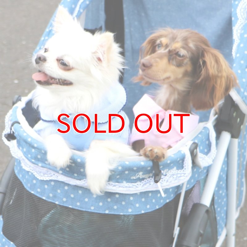 画像7: 【SALEでお得※在庫限りお早めに】レーストリミング 襟付き サマーワンピ 【1〜4号】 (7)