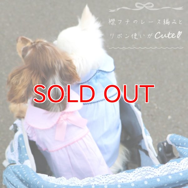 画像8: 【SALEでお得※在庫限りお早めに】レーストリミング 襟付き サマーワンピ 【1〜4号】 (8)