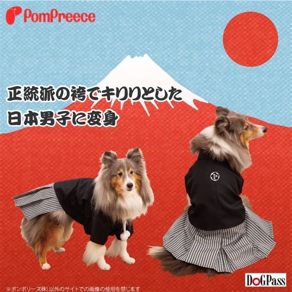 画像5: 【ポイント10倍で会員様はお得】 羽織はかま 【4号】 (5)