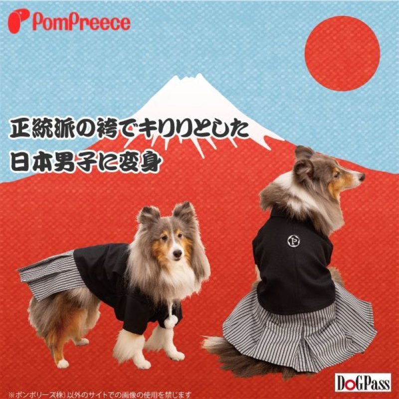 画像5: 【ポイント10倍で会員様はお得】 羽織はかま 【5号】 (5)