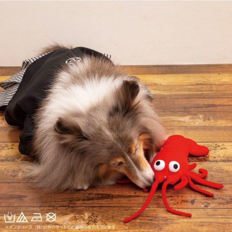 画像6: 【ポイント10倍で会員様はお得】 羽織はかま 【5号】 (6)