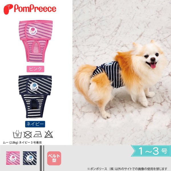 画像1: 【ポイント10倍で会員様はお得】 ベルト型サニタリーパンツ エアーメッシュ 1〜3号 (1)