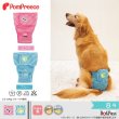 画像1: 【ポイント10倍で会員様はお得】 中大型犬用 ベルト型サニタリーパンツ エアーメッシュ 【8号】 (1)