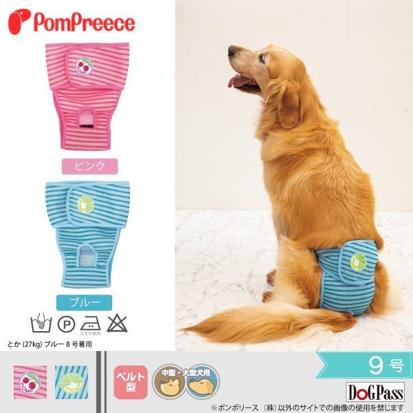 画像1: 【ポイント10倍で会員様はお得】 中大型犬用 ベルト型サニタリーパンツ エアーメッシュ 【9号】 (1)