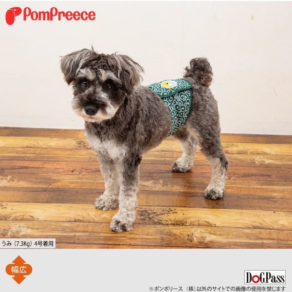 画像2: 【ポイント10倍で会員様はお得】 マナーベルト唐草富士山 【1〜3号】 (2)