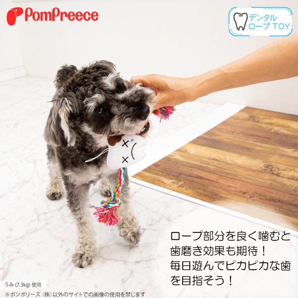 画像2: 【ポイント10倍で会員様はお得】 ロープTOY デンタルファミリー (2)