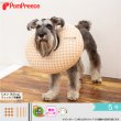 画像1: 【在庫処分セール品】ドーナツリングエリザベスカラ―  フェアオーガニック 【5号】ボーダーのみ※返品交換不可 (1)