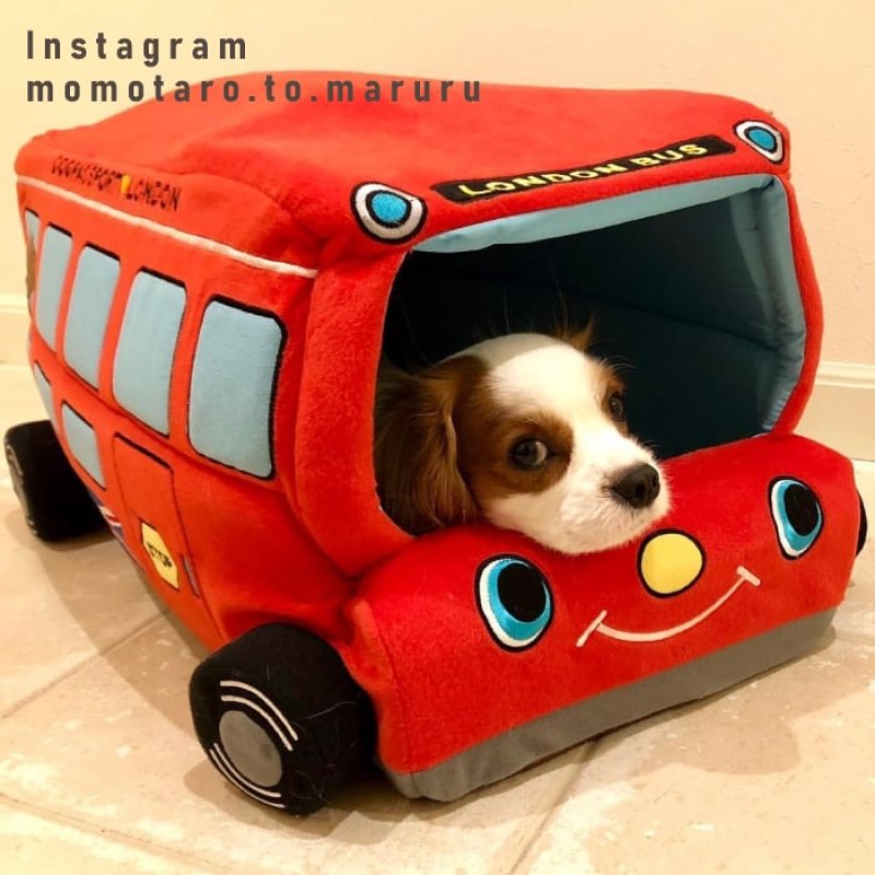 画像12: 犬猫兼用 ベッド クッション 2WAYカドラー イングランドバス (12)