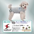 画像4: 【ポイント10倍で会員様はお得】 小型犬用 術後カバーオール 【2・3・4・5号】 (4)