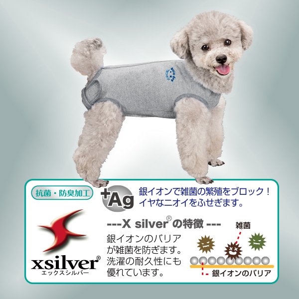 画像4: 【ポイント10倍で会員様はお得】 小型犬用 術後カバーオール 【2・3・4・5号】 (4)