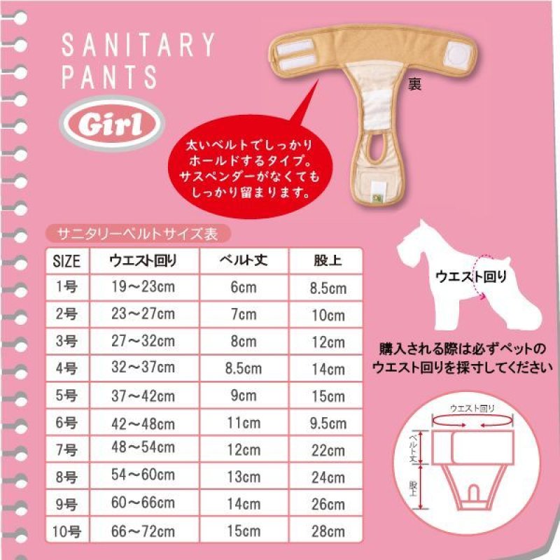 小型犬用 パンツ サイズS ウエスト約20cm(10cm伸びます) l-111r02.jpg