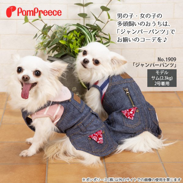 画像3: 【SALEでお得※在庫限りお早めに】ジャンパースカート【2〜5号】 (3)