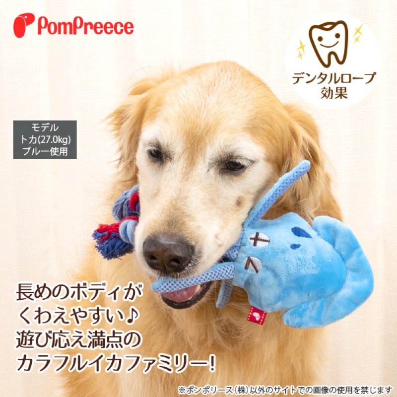 画像2: デンタルロープTOY PeePee イカ君 ※ブルーのみ (2)