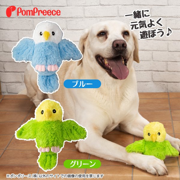 画像6: 【ポイント10倍で会員様はお得】 PeePeeTOY スマイルインコ (6)