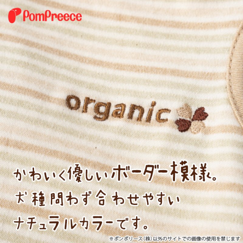 画像5: 猫用 術後カバーオール オーガニックボーダー【4号】 (5)