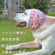 画像3: 【ポイント10倍で会員様はお得】 犬用 スヌード 防虫 ご飯 散歩 耳 顔回り 清潔 汚れ防止 ムレ ニオイ 耳かき防止 メッシュ 通気性 お散歩用 防虫メッシュ スヌード ポム プリン 【LL】 (3)