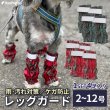 画像1: 【ポイント10倍で会員様はお得】 裏付きレインレッグガード タータンチェック 【2〜12号】 (1)