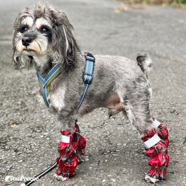 画像12: 【ポイント10倍で会員様はお得】 裏付きレインレッグガード タータンチェック 【2〜12号】 (12)