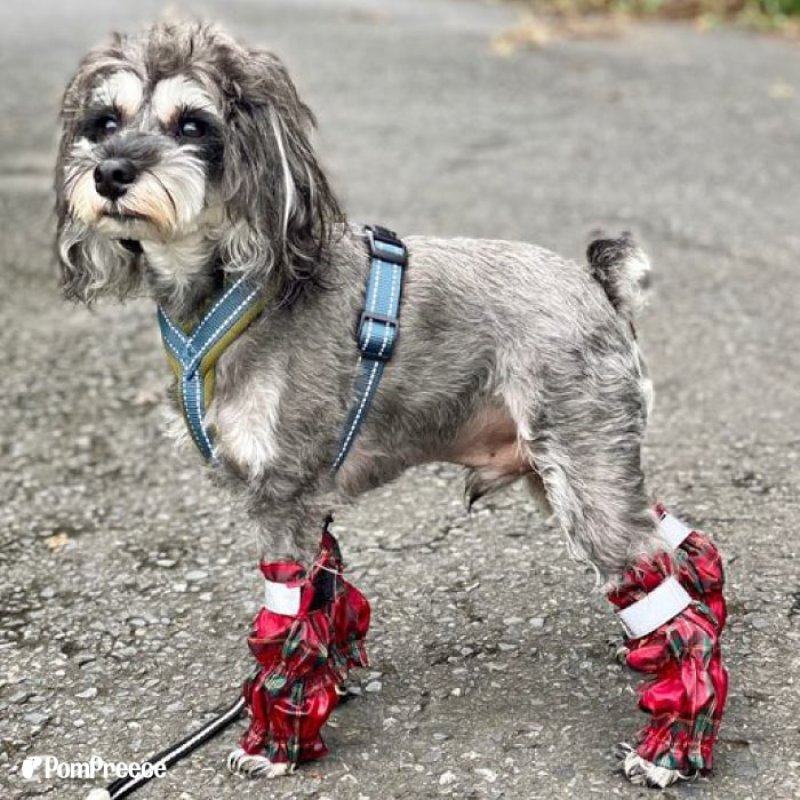 画像12: 裏付き レインレッグガード タータンチェック 【2〜12号】 (12)