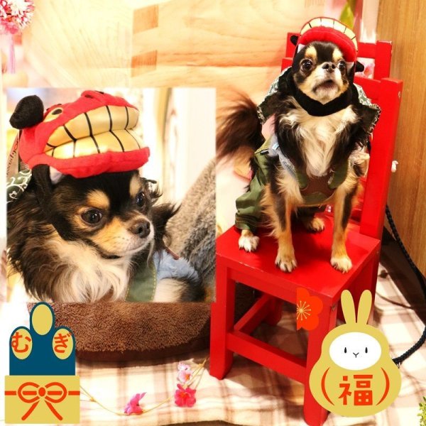 画像5: 【ポイント10倍で会員様はお得】 獅子舞帽子 【S・M・LL】※在庫限り (5)