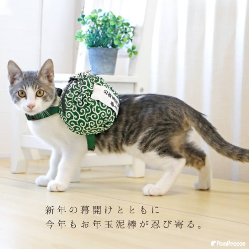 画像2: 【SALEでお得※在庫限りお早めに】お年玉泥棒 唐草リュック 【M】新年2026年に家族みんなで爆笑写真を！！ (2)