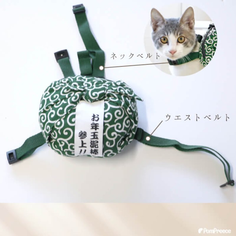 画像3: 【SALEでお得※在庫限りお早めに】お年玉泥棒 唐草リュック 【M】新年2026年に家族みんなで爆笑写真を！！ (3)