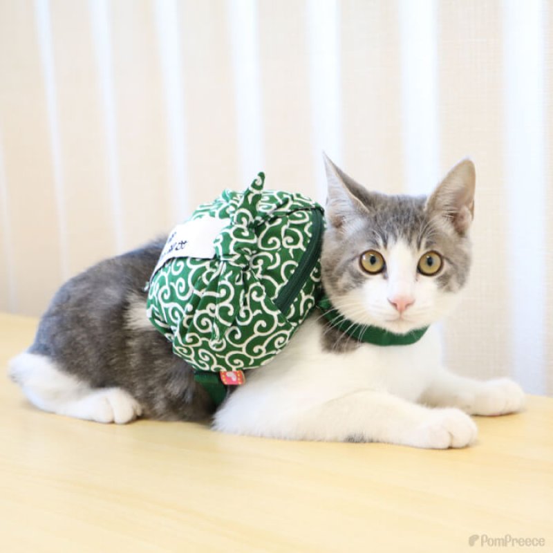 画像9: 【SALEでお得※在庫限りお早めに】お年玉泥棒 唐草リュック 【M】新年2026年に家族みんなで爆笑写真を！！ (9)