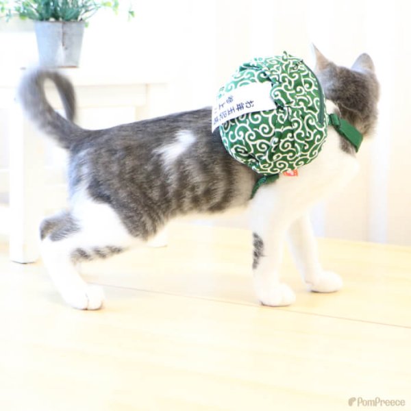 画像10: 【SALEでお得※在庫限りお早めに】お年玉泥棒 唐草リュック 【M】新年2025年に家族みんなで爆笑写真を！！ (10)