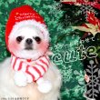 画像4: 【在庫処分セール品】 ペット犬 猫 サンタ帽子【 LL〜４Lのみ】※返品交換不可 (4)