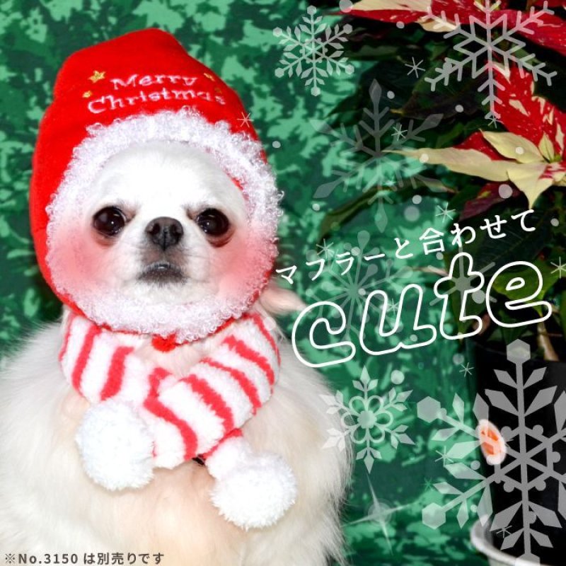 画像4: 【在庫処分セール品】 ペット犬 猫 サンタ帽子【 LL〜４Lのみ】※返品交換不可 (4)