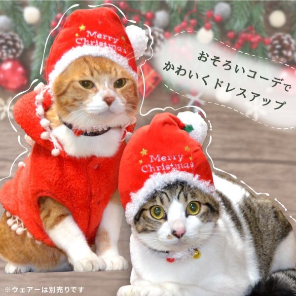 画像3: 【在庫処分セール品】 ペット犬 猫 サンタ帽子【 LL〜４Lのみ】※返品交換不可 (3)