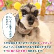 画像3: 【ポイント10倍で会員様はお得】 アニマルスヌード シンプルメッシュ 【S・M・LL】 (3)