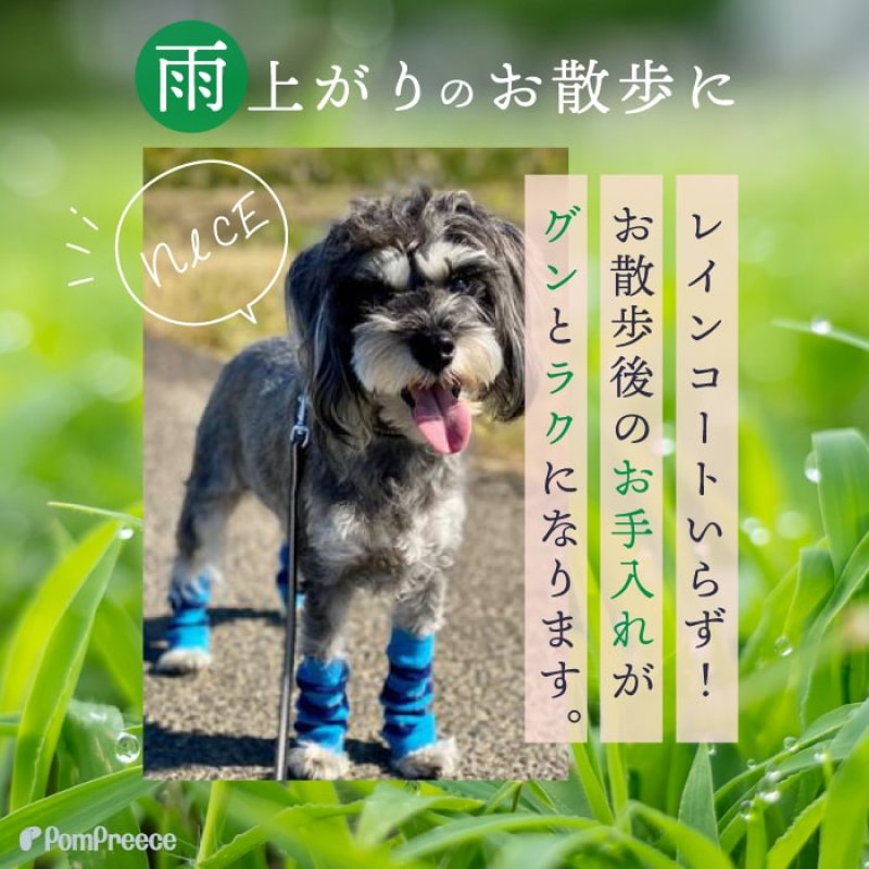 画像4: 犬用 レッグガード ボーダー 【S〜3L】 (4)
