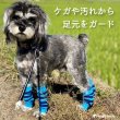 画像5: 【ポイント10倍で会員様はお得】 犬用レッグガード ボーダ 【S〜3L】靴下が苦手な子に ゴミの付着防止（飾り毛の汚れ軽減） 包帯替わりに (5)