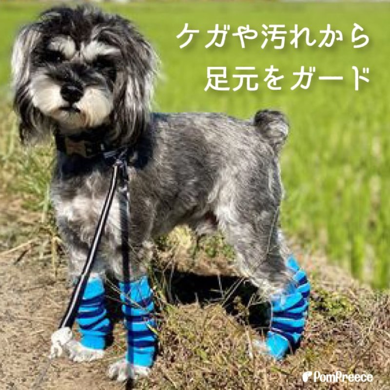 画像5: 犬用 レッグガード ボーダー 【S〜3L】 (5)