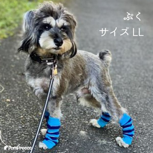 画像6: 【ポイント10倍で会員様はお得】 犬用レッグガード ボーダ 【S〜3L】靴下が苦手な子に ゴミの付着防止（飾り毛の汚れ軽減） 包帯替わりに (6)