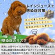 画像2: 【ポイント10倍で会員様はお得】 レインシューズ ルンルンドット 【2・3・4・5号】 (2)