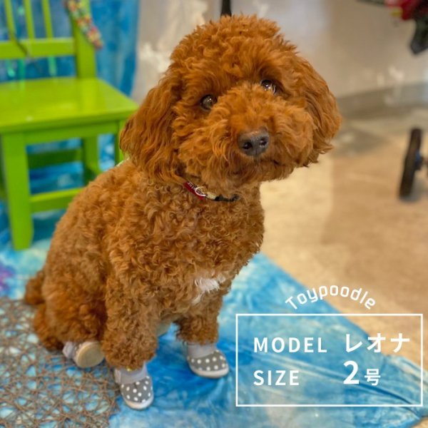 画像4: 【ポイント10倍で会員様はお得】 レインシューズ ルンルンドット 【2・3・4・5号】 (4)