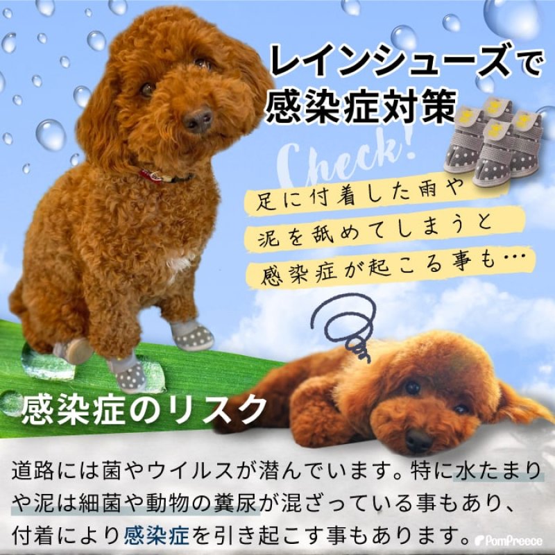 画像5: 犬用 レインシューズ ルンルンタータン 【2・3・4・5号】 (5)