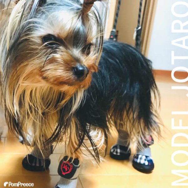 画像2: 【ポイント10倍で会員様はお得】 レインシューズ ルンルンタータン【2・3・4・5号】 (2)