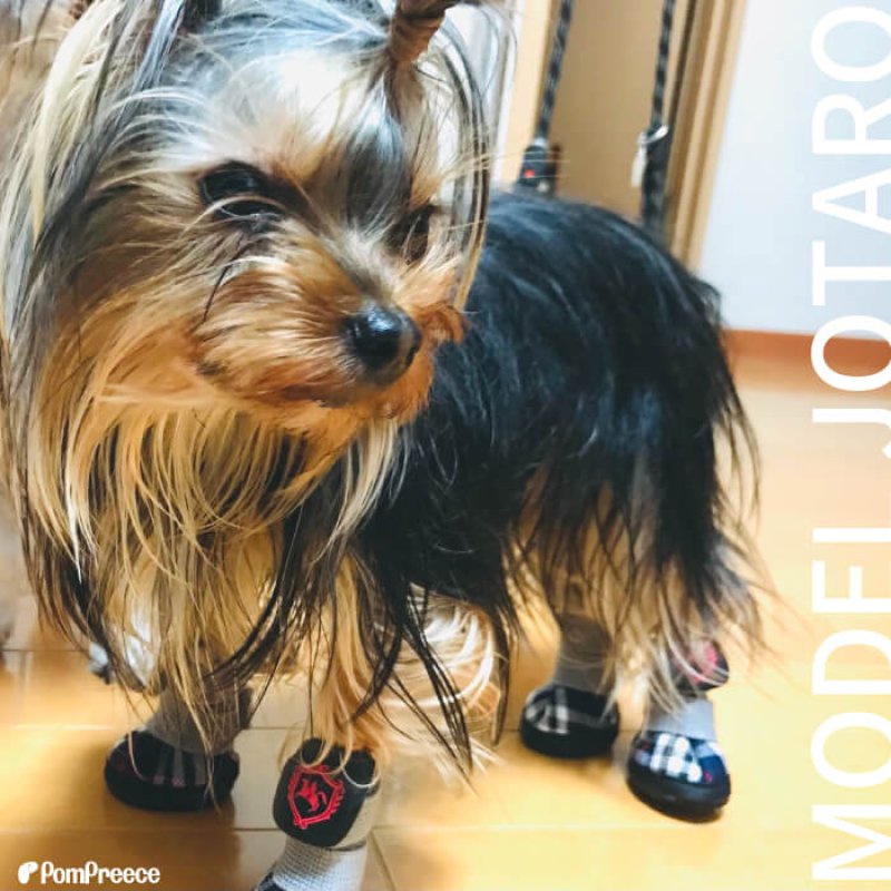 画像2: 犬用 レインシューズ ルンルンタータン 【2・3・4・5号】 (2)