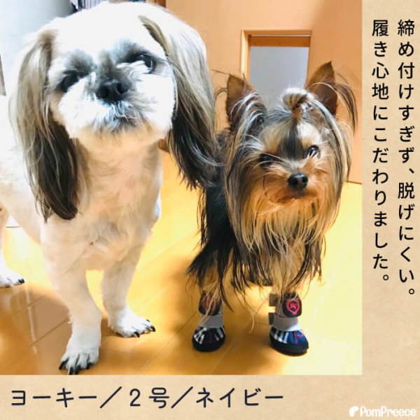 画像3: 【ポイント10倍で会員様はお得】 レインシューズ ルンルンタータン【2・3・4・5号】 (3)