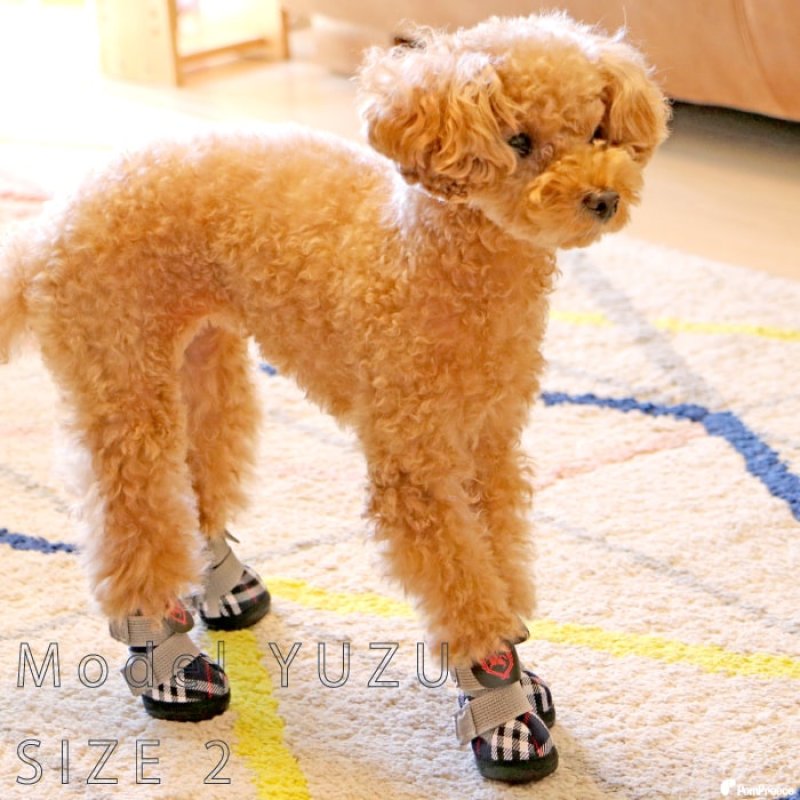 画像17: 犬用 レインシューズ ルンルンタータン 【2・3・4・5号】 (17)