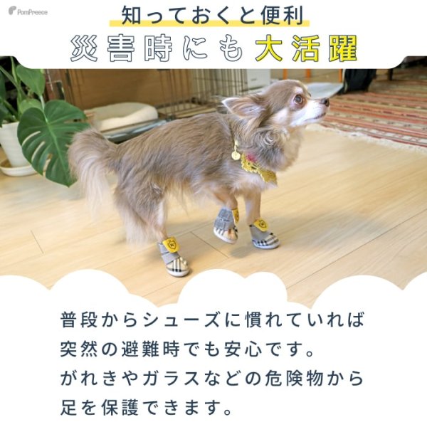 画像10: 【ポイント10倍で会員様はお得】 レインシューズ ルンルンタータン【2・3・4・5号】 (10)