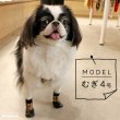 画像5: 【ポイント10倍で会員様はお得】 犬用 ソックス 靴下 靴 シューズ フローリング 滑り止め 肉球 肉球保護【2〜7号】1セット4足 足先全体にゴムコーティングをしたソックス+シューズ※在庫限り (5)