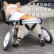 画像4: 【ポイント10倍で会員様はお得】 犬用 ソックス 靴下 靴 シューズ フローリング 滑り止め 肉球 肉球保護【2〜7号】1セット4足 足先全体にゴムコーティングをしたソックス+シューズ※在庫限り (4)